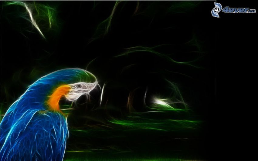 papuga Ara, zwierzęta fraktalne