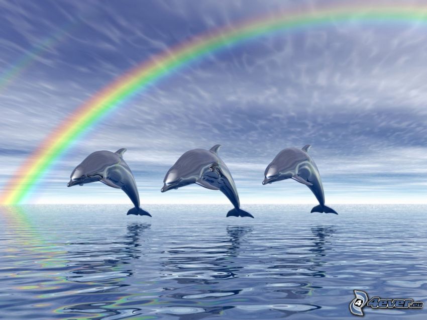 rysunkowe delfiny, skaczące delfiny, tęcza, morze