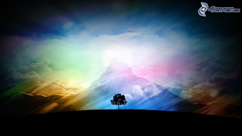 samotne drzewo, kolory, wzgórze