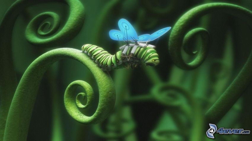 zielona gąsienica, skrzydła, źdźbło