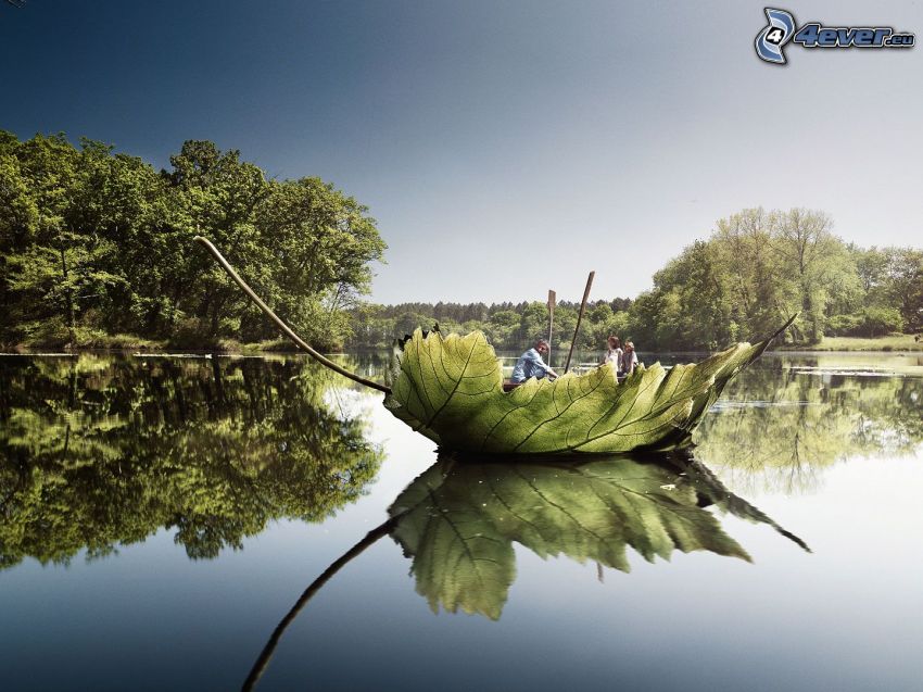 zielony liść, łódka, jezioro, spokojna woda
