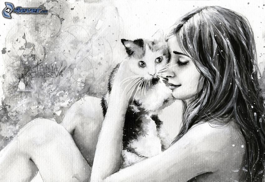 kobieta narysowana, kot rysunkowy