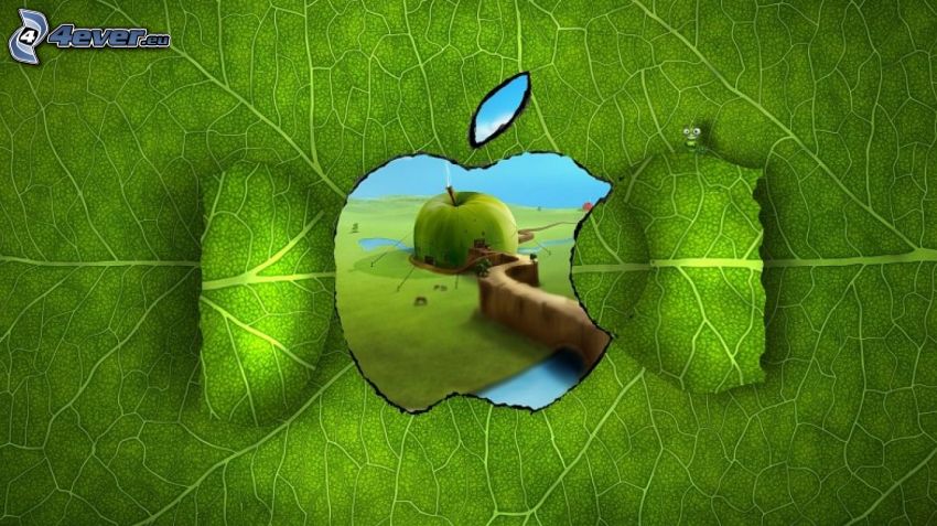 liść, okno, Apple, jabłko