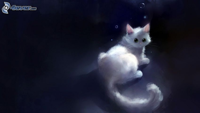 Mały biały kotek