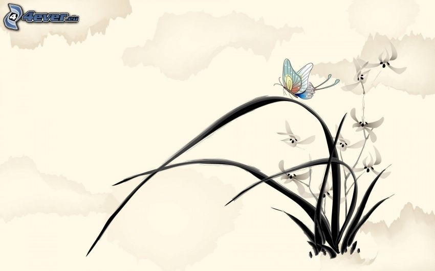 motyl, białe kwiaty, źdźbła trawy