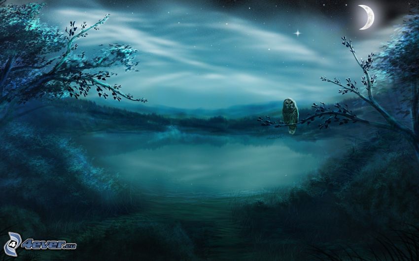 noc, rysunkowa sowa, księżyc, drzewa