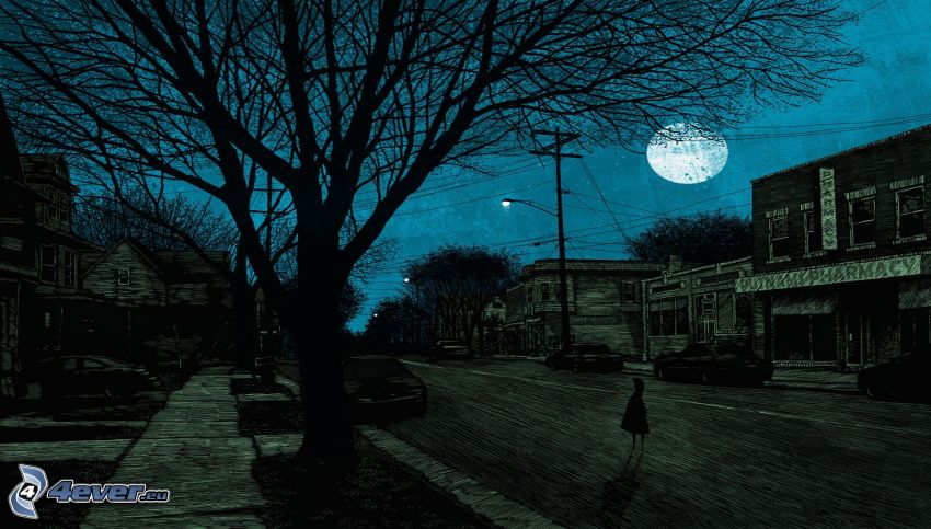 noc, ulica, księżyc, sylwetka drzewa