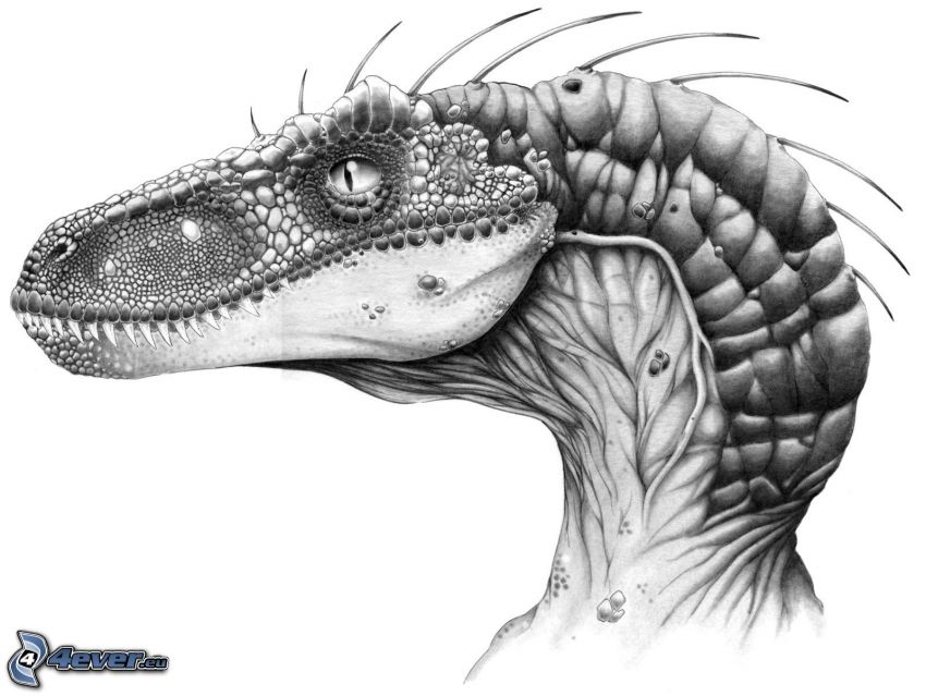 dinozaur, głowa
