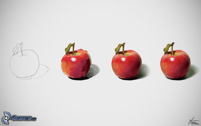 jabłka, rysowanie