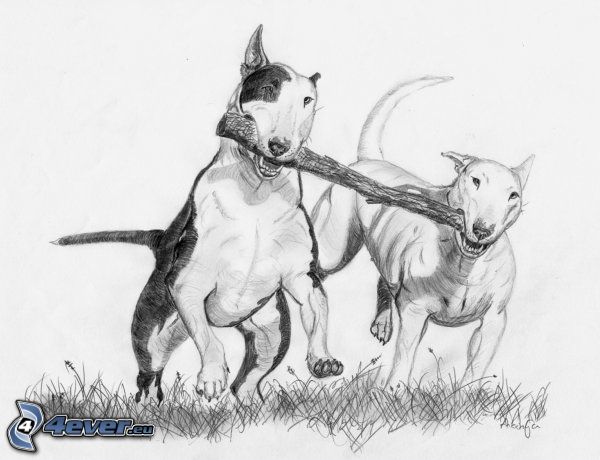 narysowane psy, gałązka