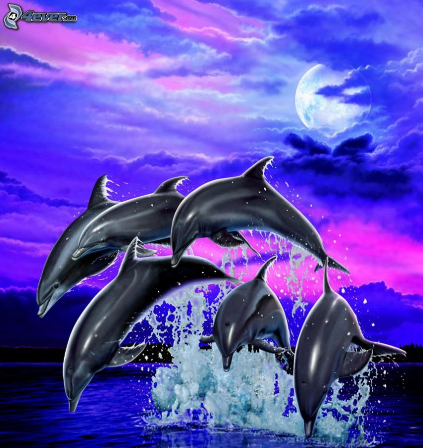 rysunkowe delfiny, skaczące delfiny, księżyc