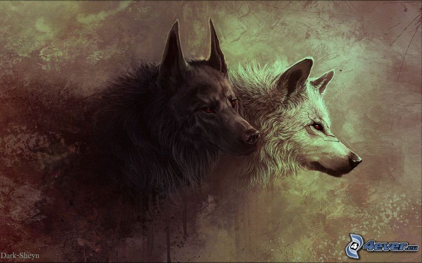 rysunkowe wilki