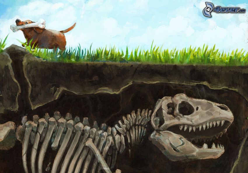 szkielet, dinozaur, brązowy pies, kość