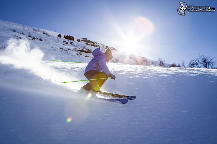 narciarstwo, słońce, śnieg