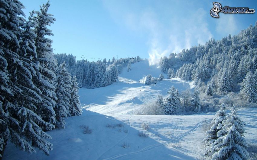 stok, narciarze, śnieżny krajobraz