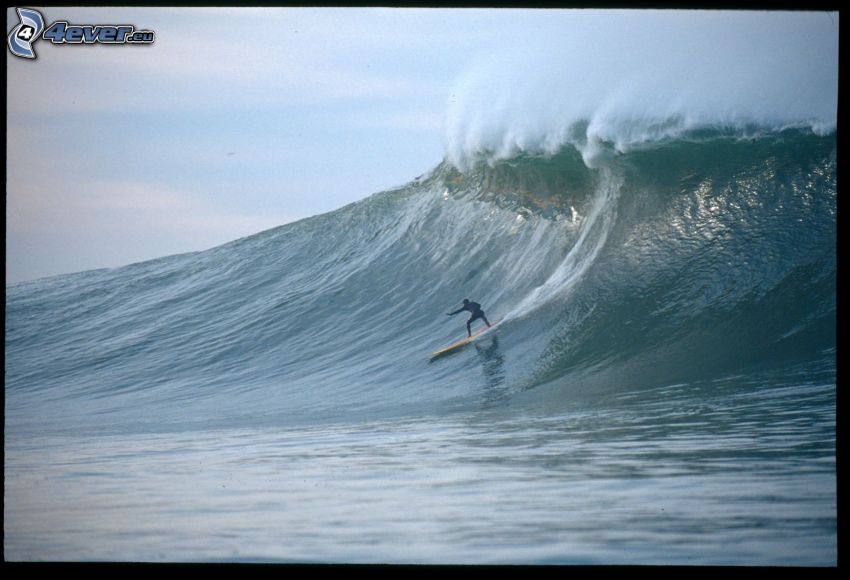 surfing, fala, morze