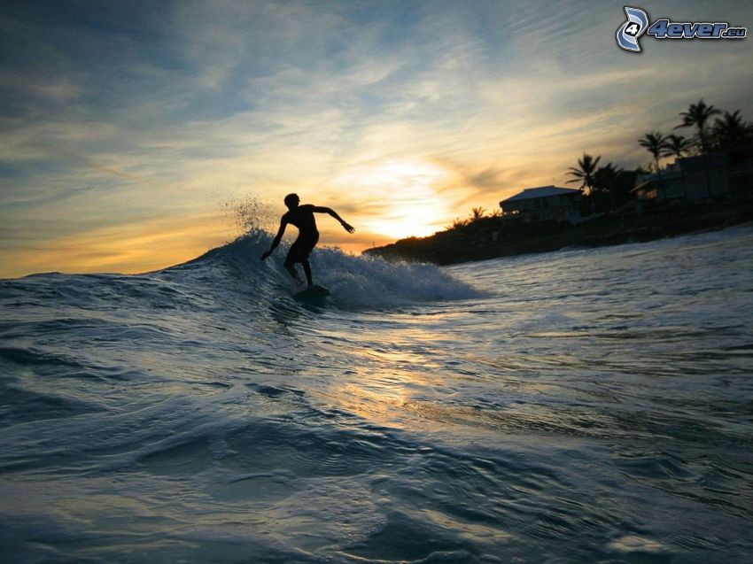 surfowanie