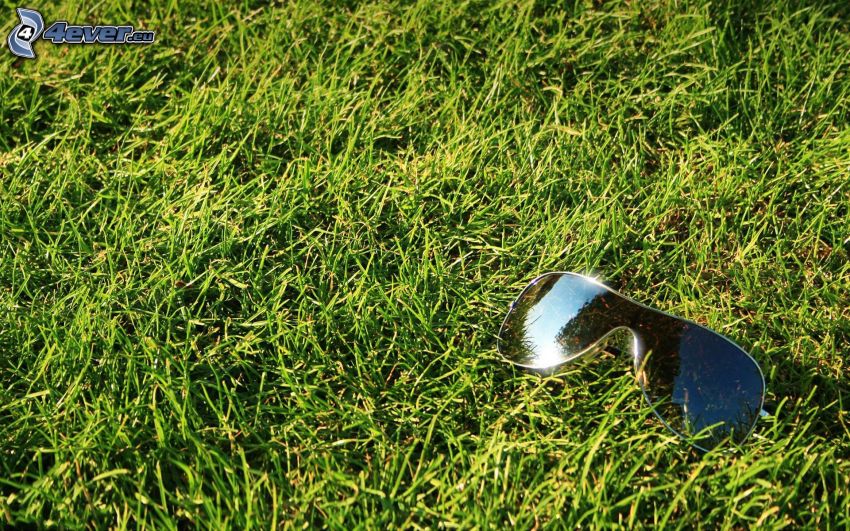 okulary przeciwsłoneczne na trawie