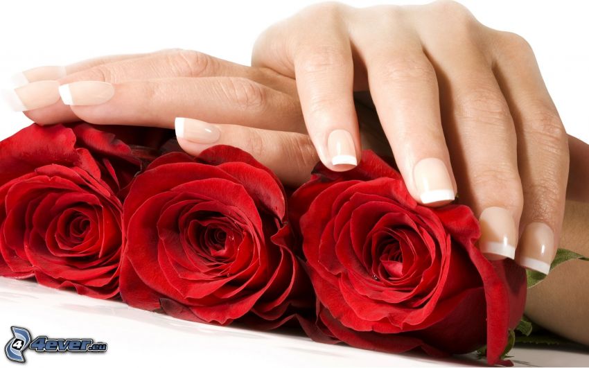 pomalowane paznokcie, czerwone róże