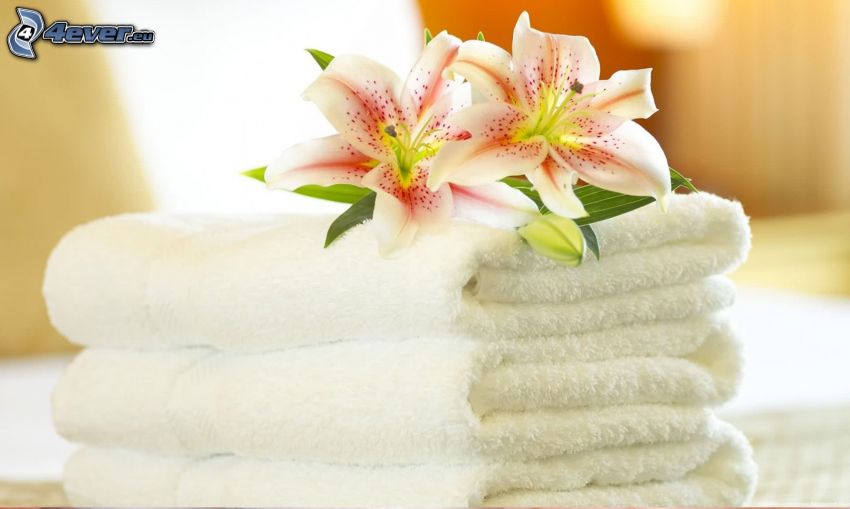 ręczniki, lilie