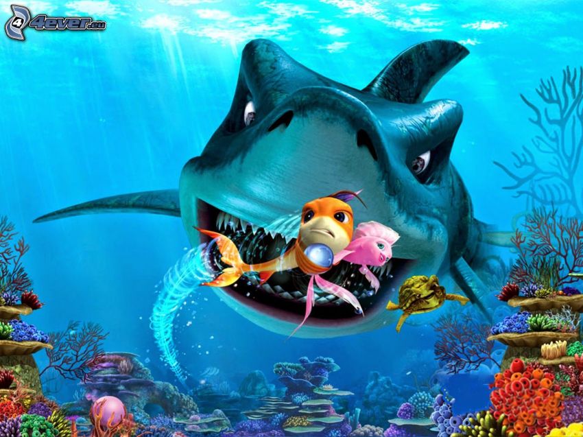 Gdzie jest Nemo?, rekin
