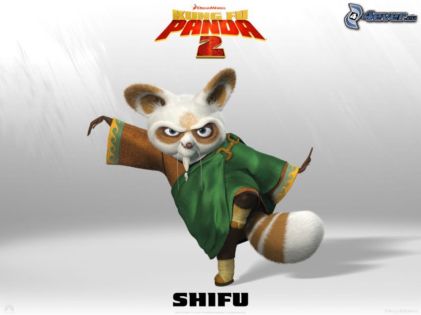 Mr. Shifu, Kung Fu Panda
