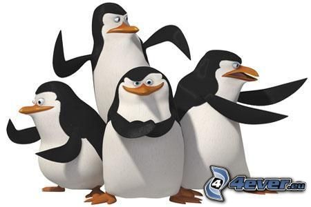 Pingwiny z Madagaskaru, rysunkowy pingwin