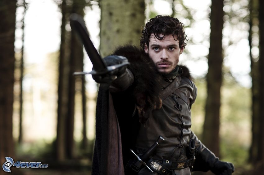 Robb Stark, A Game of Thrones