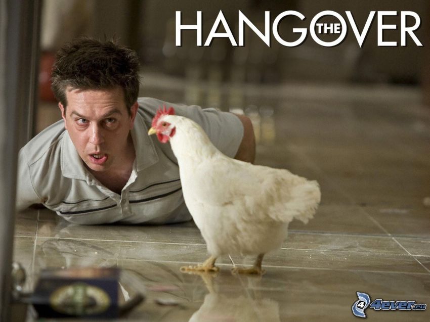 The Hangover, mężczyzna, kura