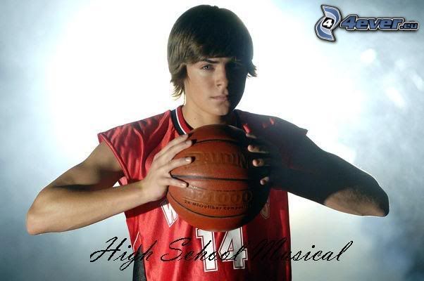 Troy Bolton, High School Musical, Zac Efron