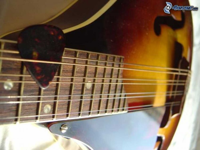 mandolina, piórko do gitary