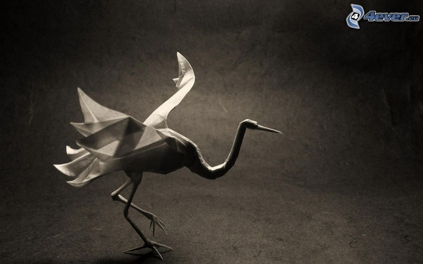 origami, łabędź, czarno-białe zdjęcie