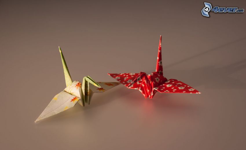 origami, łabędzie