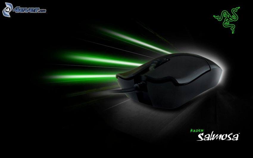 Razer Salmosa, mysz