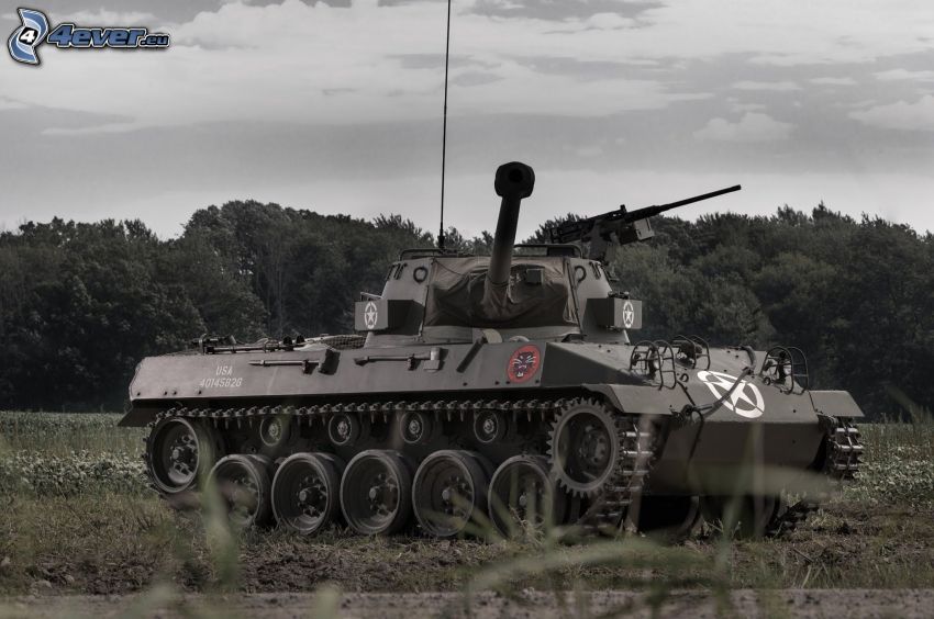 M18 Hellcat, czołg, las
