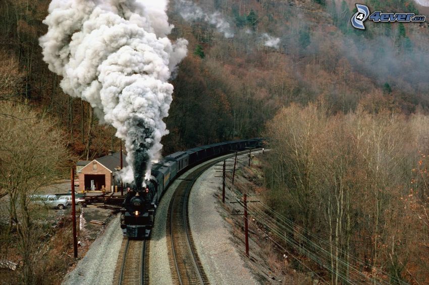 pociąg parowy, kolej żelazna, las, dym