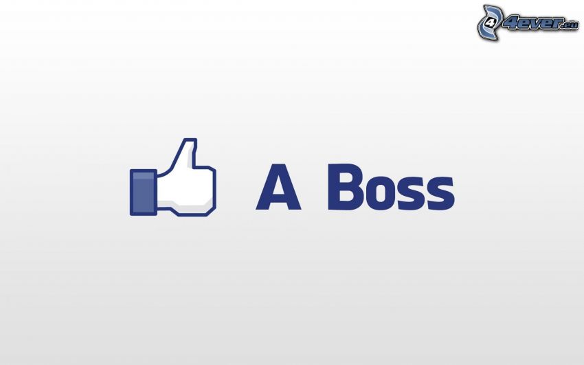 Like A Boss, facebook