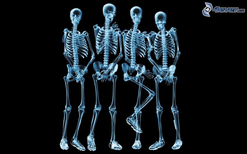 szkielety