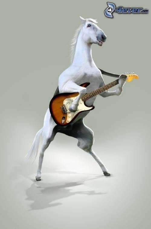koń, elektryczna gitara