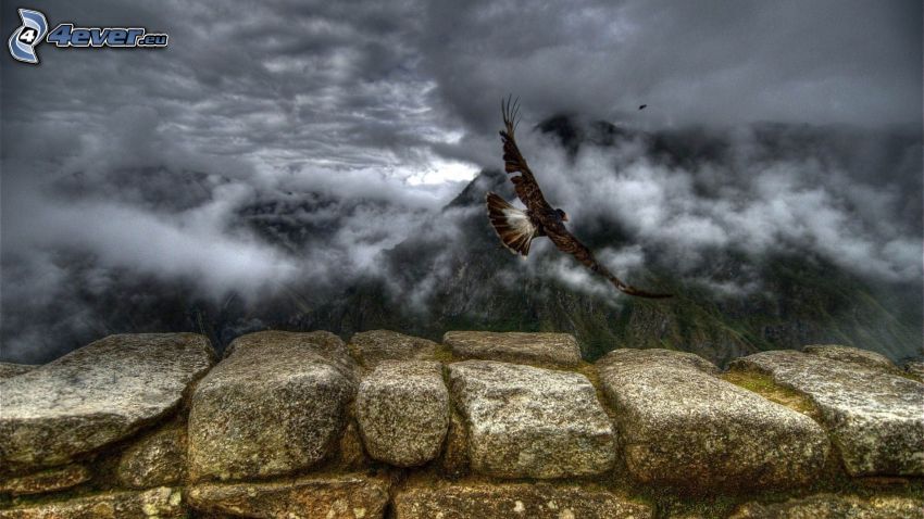 sokół, ptak drapieżny, lot, chmury, góry, HDR, mur z kamienia