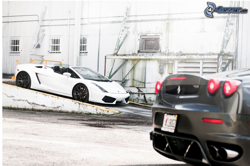 Lamborghini, kabriolet, Ferrari