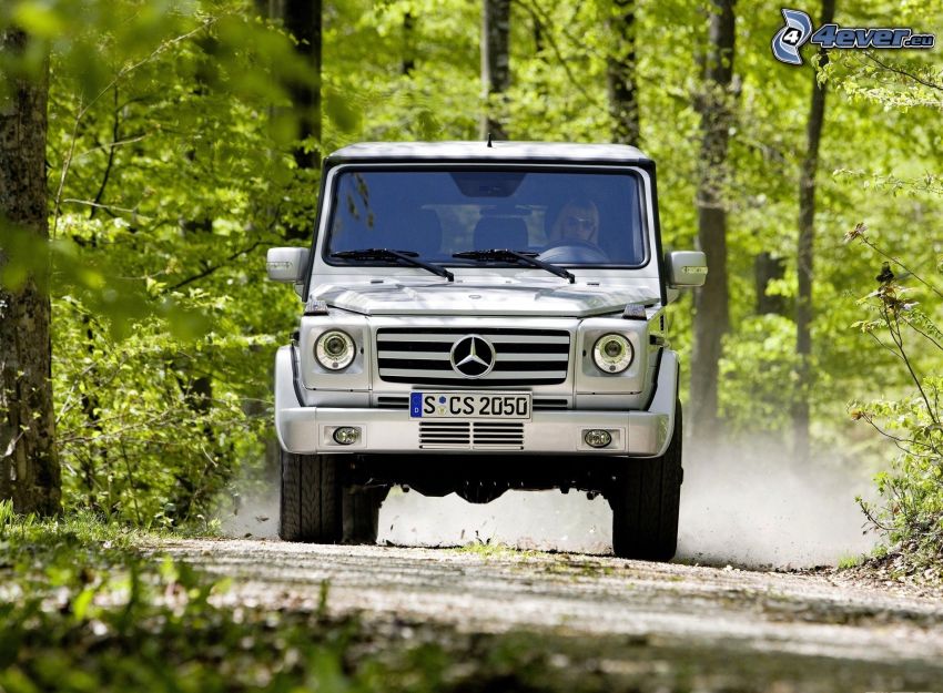 Mercedes-Benz G, lesná cesta, zelené stromy, prach