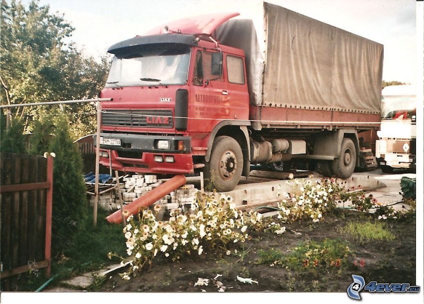 Liaz, kamión, parkovanie, kvety