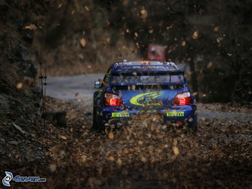 Subaru Impreza, preteky, rally, suché lístie
