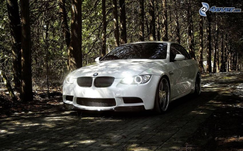 BMW, svetlá, cesta lesom