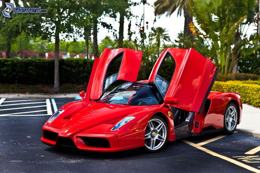 Ferrari Enzo, dvere