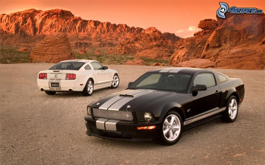 Ford Mustang Shelby GT, púšť, skaly