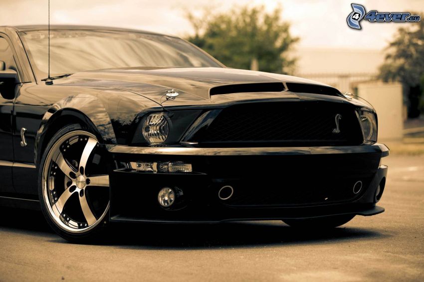 Ford Mustang Shelby GT500