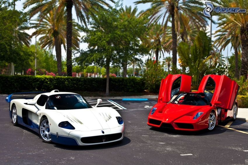 Maserati MC 12, Ferrari Enzo, dvere, palmy