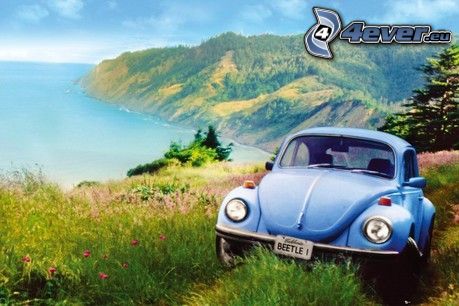 Volkswagen Beetle, lesná cesta, výhľad na more